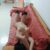 image2 (1) image2 (1)