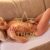 SAMANTHA-ATHENS-ESCORT-STARS-5 SAMANTHA-ATHENS-ESCORT-STARS-5