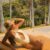 Escort-Athens-Tatiana-Escorts-Athens-Athens-Escorts-Vip-Stars-Escorts-Athens-Sex-Now-Athens-Call-Girls-Athens-2 Escort-Athens-Tatiana-Escorts-Athens-Athens-Escorts-Vip-Stars-Escorts-Athens-Sex-Now-Athens-Call-Girls-Athens-2